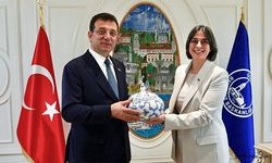 CHP'nin İstanbul'da kazandığı belediyelere düzenlenen operasyon sayısı 16'ya yükseldi