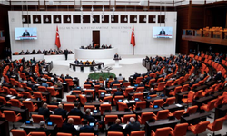"Çerçeve yasa", TBMM'de kabul edilerek yasalaştı