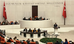 Çerçeve yasaya ilişkin partilerin tutumları nasıl oldu?