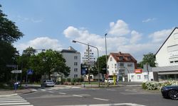 Frankfurt'ta sıtma kaynaklı can kayıplarının ardından halka uyarı