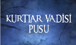 "Kurtlar Vadisi Pusu" dizisi hakkında FETÖ propagandası iddiaları üzerine inceleme başlatıldı