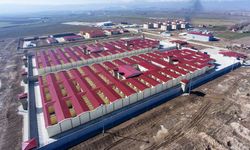 İstanbul Tabip Odası: Kuyu tipi cezaevlerinde mahpusların yaşam koşulları ciddi sorunlar barındırmaktadır