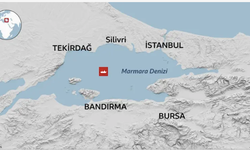 İki ticari geminin çarpıştığı olaya ilişkin soruşturma kapsamında 9 gözaltı