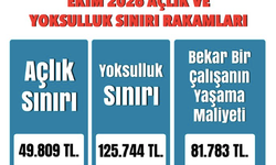 BES-AR araştırması: Yoksulluk sınırı 125 bin 744 lira