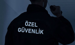En fazla işe yerleştirme yapılan meslekler; Turizm ve otelcilik elemanı, özel güvenlik ve reyon görevlisi