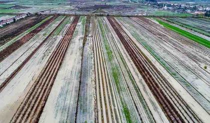 Serik'te tarım alanları su altında kaldı