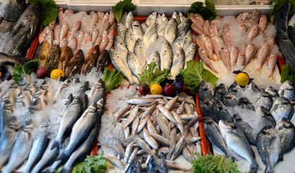 Akdeniz’de havalar iyi gitti, balık fiyatları artmadı