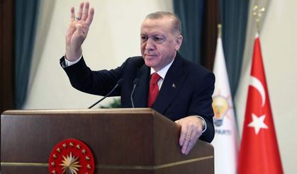Erdoğan: Milletin yarısından fazlasının desteğini alamayan hiç kimseye artık ülke yönetimi teslim edilemez