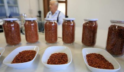 Şanlıurfa'nın "isot" biberine Antalya'dan rakip çıktı; "Şili biber"