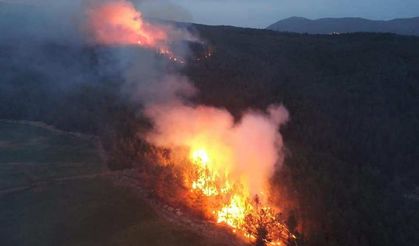 Muğla'daki orman yangınlarında sabotaj şüphesi