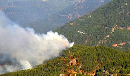 Orman yangını nedeniyle 110 konut boşaltıldı, karayolu trafiğe kapatıldı