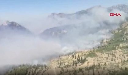 Manavgat'taki orman yangınına havadan müdahale görüntüleri