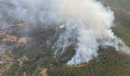 Mersin'de orman yangınıyla ilgili 1 kişi tutuklandı