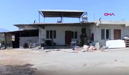 ADANA'DAKİ YANGINDA YARDIM ÇIĞLIKLARI HAYVANLARINI KURTARMAYA YETMEDİ