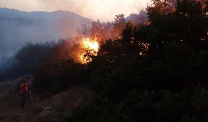 Bingöl’de çıkan orman yangını kısa sürede söndürüldü