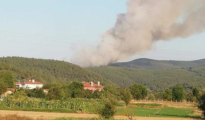 Harmancık'ta orman yangını kontrol altına alındı