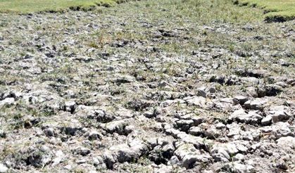 Kayseri'de kuraklık nedeniyle Yay Gölü kurudu