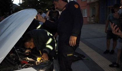 Otomobilin motoruna giren yılan paniğe neden oldu