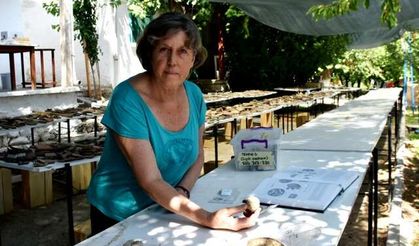 5 bin 621 yıllık 250 mühür bulundu