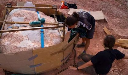 66 milyon yıl öncesine ait 30 adet dinozor yumurtası bulundu