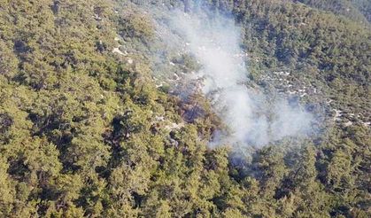 Orman yangını kontrol altına alındı; Bin 25 kişi tahliye edildi