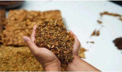 Yetki belgesi almadan tütün ticareti yapanlara 2 yıldan 5 yıla kadar hapis cezası
