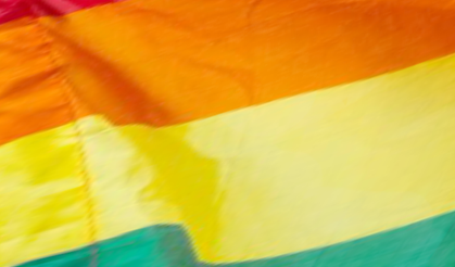 Nilüfer'de LGBTİ incelemesi