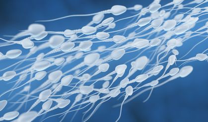 Erkeklerdeki sperm sayısı son 50 yılda yarıdan fazla azaldı