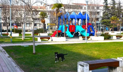 Gemlik'in parklarda çevresi değişiyor