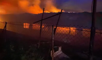 Bilecik Pazaryeri'nde tavuk çiftliğinde korkutan yangın!