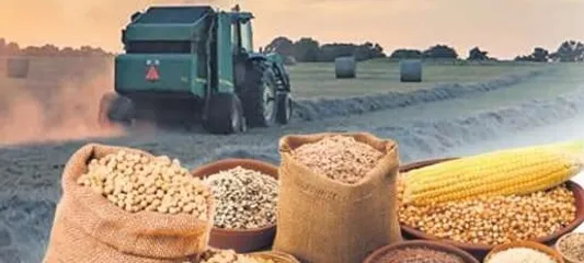 Küresel gıda fiyatları 5 ay sonra yükselişe geçti