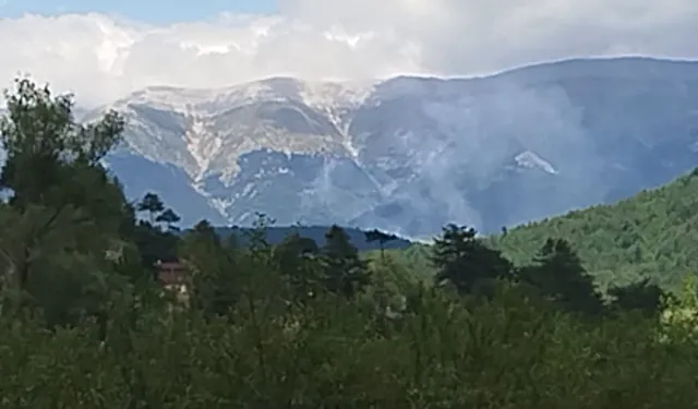 Golan Tepeleri'ndeki Mecdel Şems beldesine yönelik roket saldırısı: 11 can kaybı