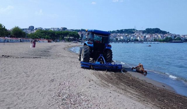 Ordu sahilleri temizleniyor