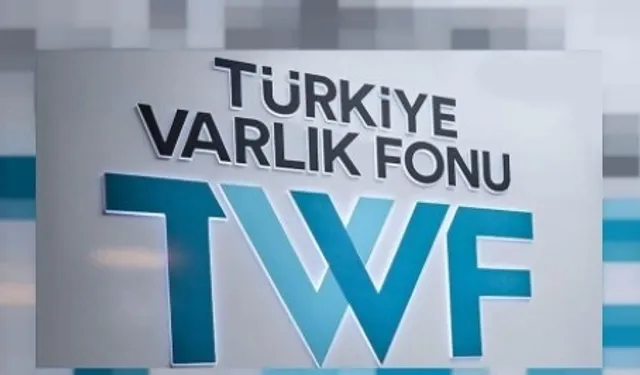 Benzer ülkelerdeki fonlar kaynak biriktirirken Türkiye Varlık Fonu 20 ayda 4 milyar dolar borçlandı