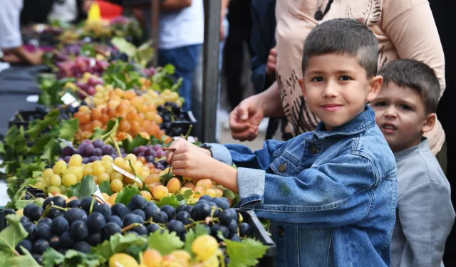 Bursa Osmangazi’nin en güzel üzümleri seçildi