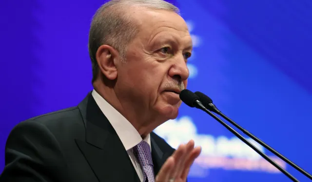 Erdoğan, Diyarbakır'da konuştu: Terör örgütünün tasfiye edilmesiyle sınırlı bir husus