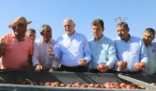 TZOB, yeniden uyardı: Patates ve kuru soğana müdahale şart!