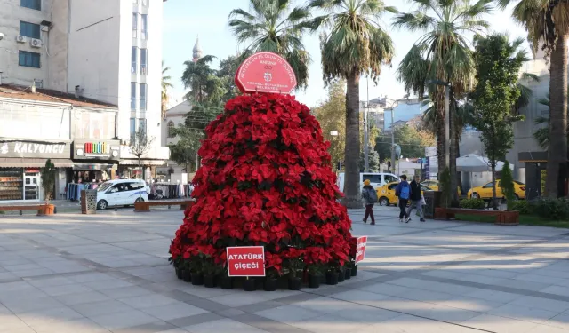 Kocaeli 'Atatürk Çiçeği' ile süsleniyor... Atatürk 1086 Atatürk çiçeği ile anılacak