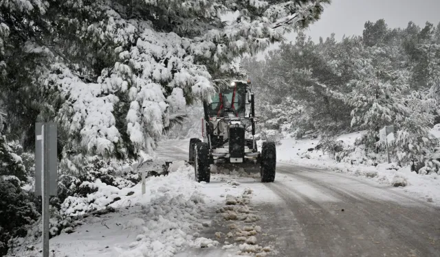 İzmir Bornova'da mevsimin ilk karı