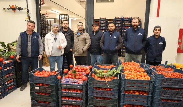 Gebze'de Batı Sebze Meyve Hali faaliyette