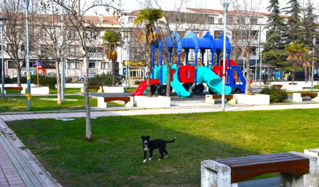 Gemlik'in parklarda çevresi değişiyor