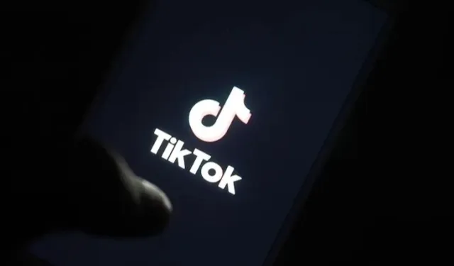 TikTok, ABD'de mağazalara geri döndü