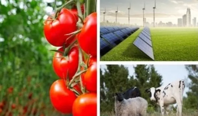 Tarıma dayalı yatırımlarda hibelere ilişkin kriterler netleşti