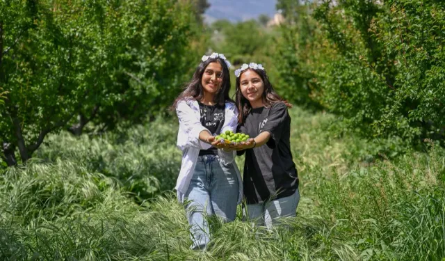 4. Göksu Gravga Şenliği’nde lezzet ve eğlence bir arada