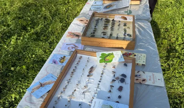 Bursa Osmangazi'de ‘Böcek Bilim’ buluşması yapıldı