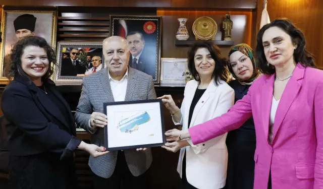Mardin Yeşilli’de örnek kentsel dönüşüm projesi tanıtıldı