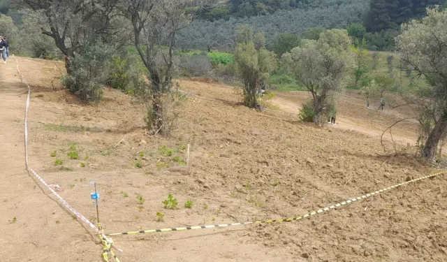 Mudanya'dan tarım arazilerinde hisseli satışlara karşı uyarı!