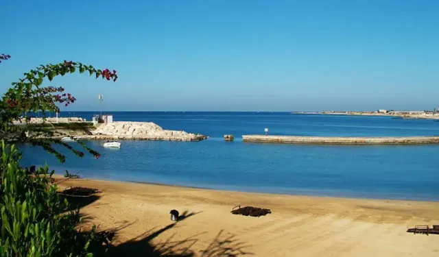 Suriye yönetiminden, kadınlara mayo ve bikini yasağı, erkeklere gömlek zorunluluğu