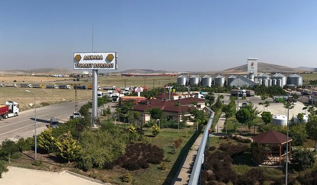 Ankara'da hububat sezonu: Bu yıl kuraklık ve zirai don nedeniyle verim yüzde 20 ila yüzde 30 düşmüş görünüyor