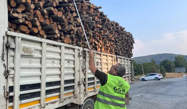 Bilecik Pazaryeri’nde orman emvali denetimi
